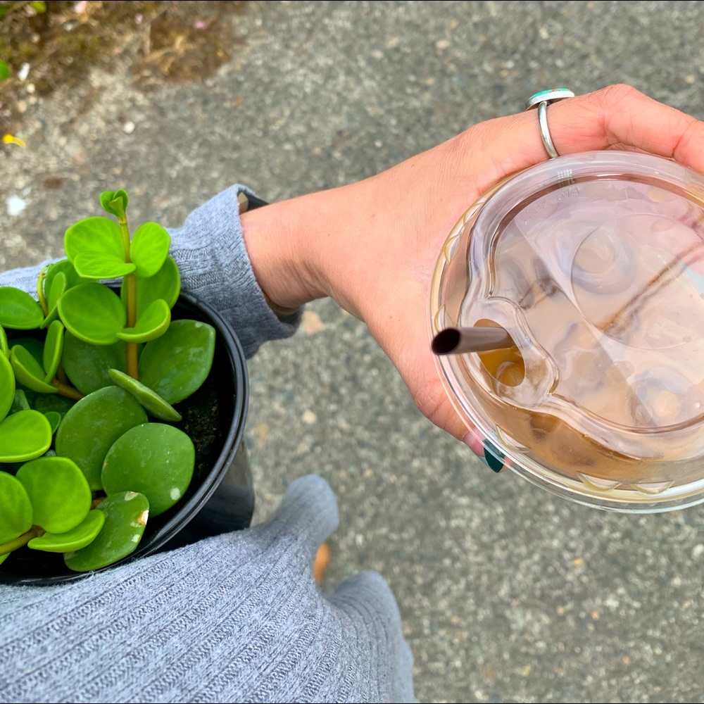 Meet your Posher, Cleo